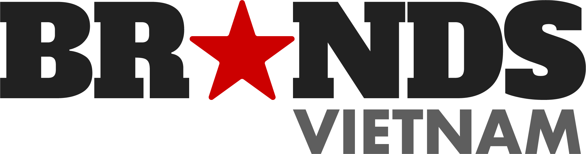 Brvn logo v3 white